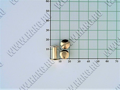 Болты металл.Gold 12мм (уп-100шт)