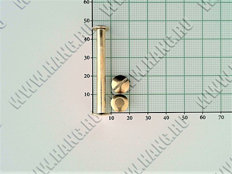 Болты металл.Gold 45мм (уп-100шт)