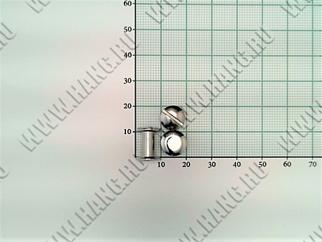 Болты металл.Silver 10мм (уп-100шт)