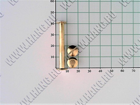 Болты металл.Gold 40мм (уп-100шт)